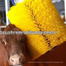 2014 vente chaude rouleau brosse pour la vache ferme bovins à gratter